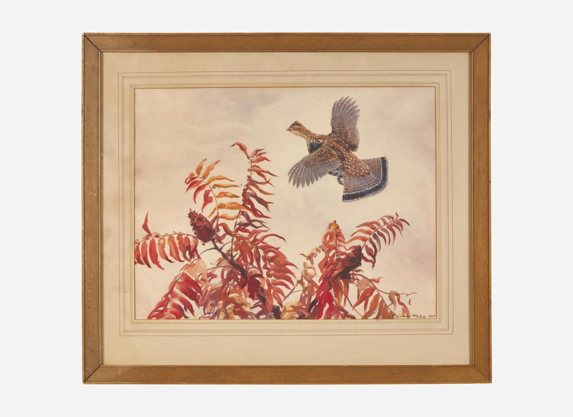 Aiden Lassell Ripley (American, 1896-1969) - Grouse and Sumac