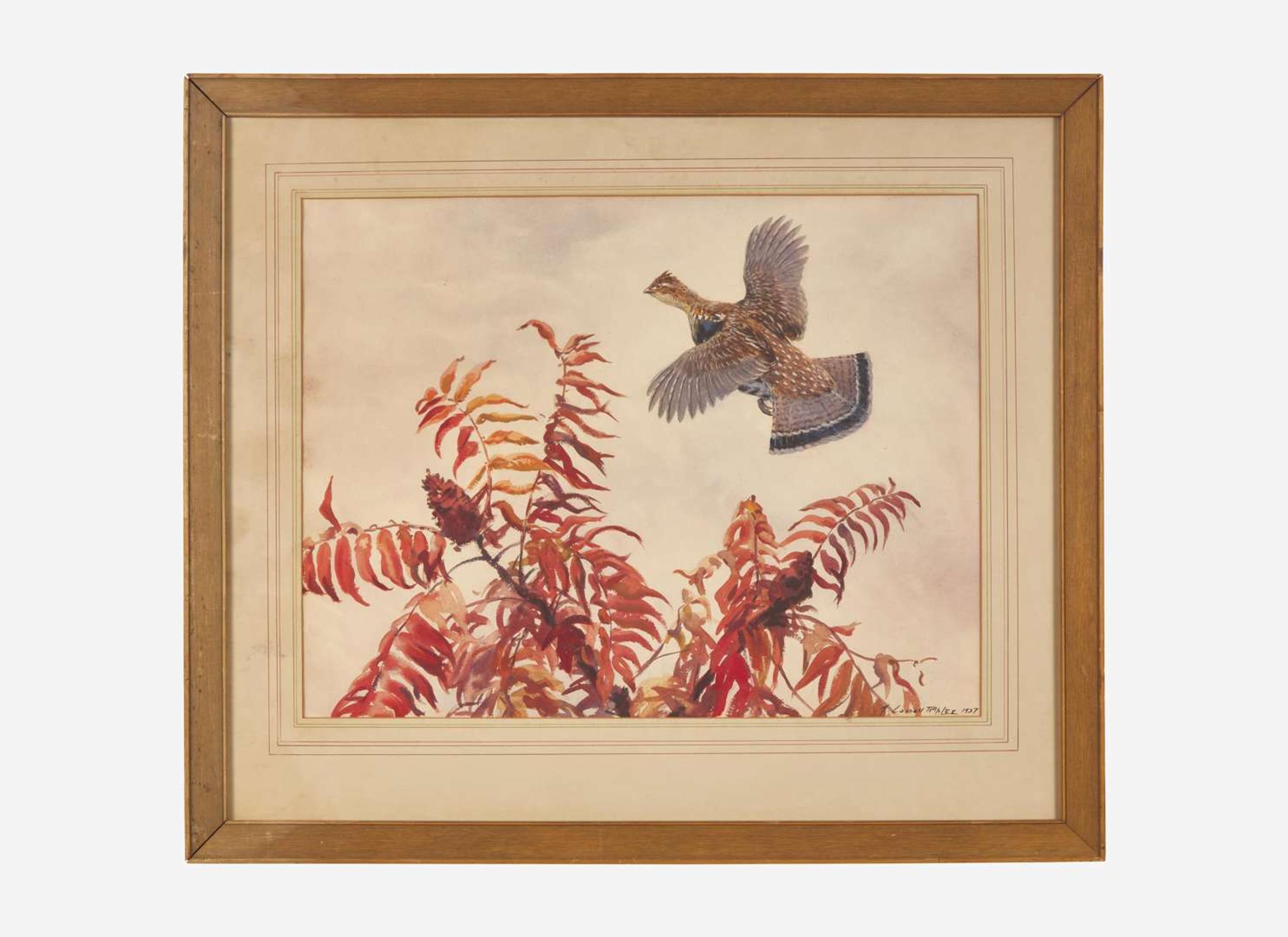 Aiden Lassell Ripley (American, 1896-1969) - Grouse and Sumac