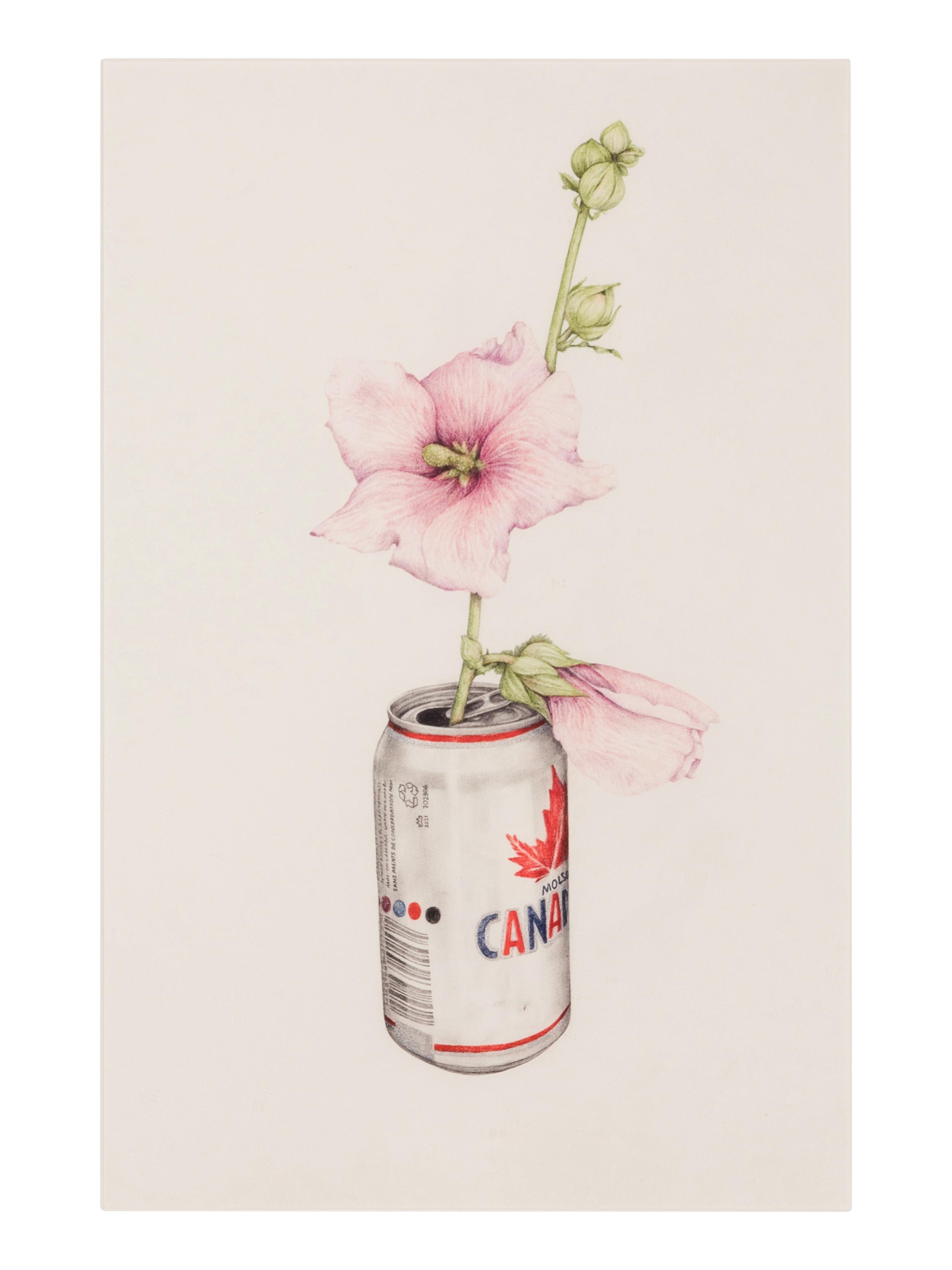 Canadian , 2013