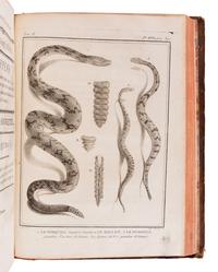 LACÉPÈDE, Bernard Germain de (1759-1825). Historie Naturelle des Quadrupedes Ovipares et des Serpens. Paris: Hôtel de Thou, 1788-1789.
