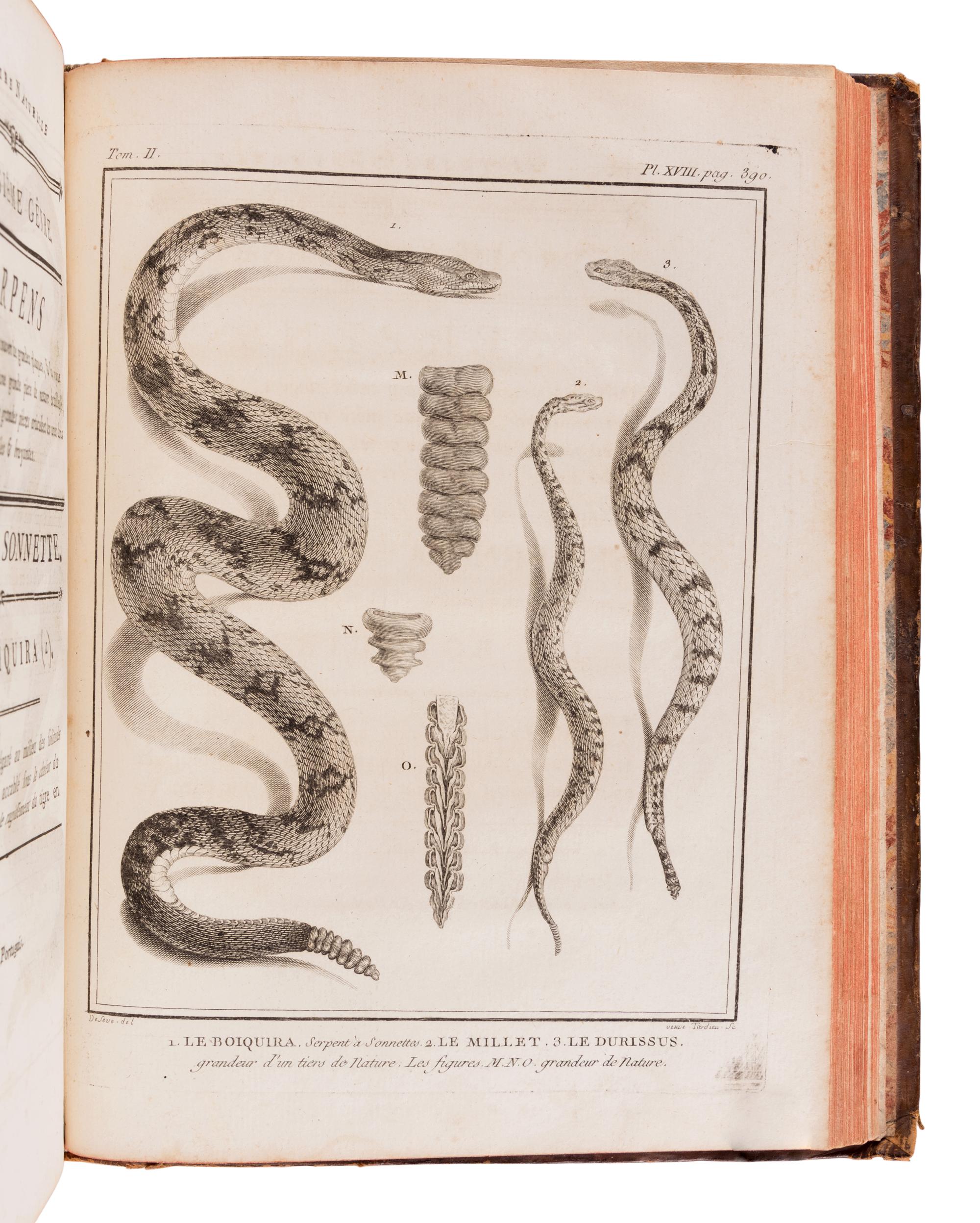 LACÉPÈDE, Bernard Germain de (1759-1825). Historie Naturelle des Quadrupedes Ovipares et des Serpens. Paris: Hôtel de Thou, 1788-1789.