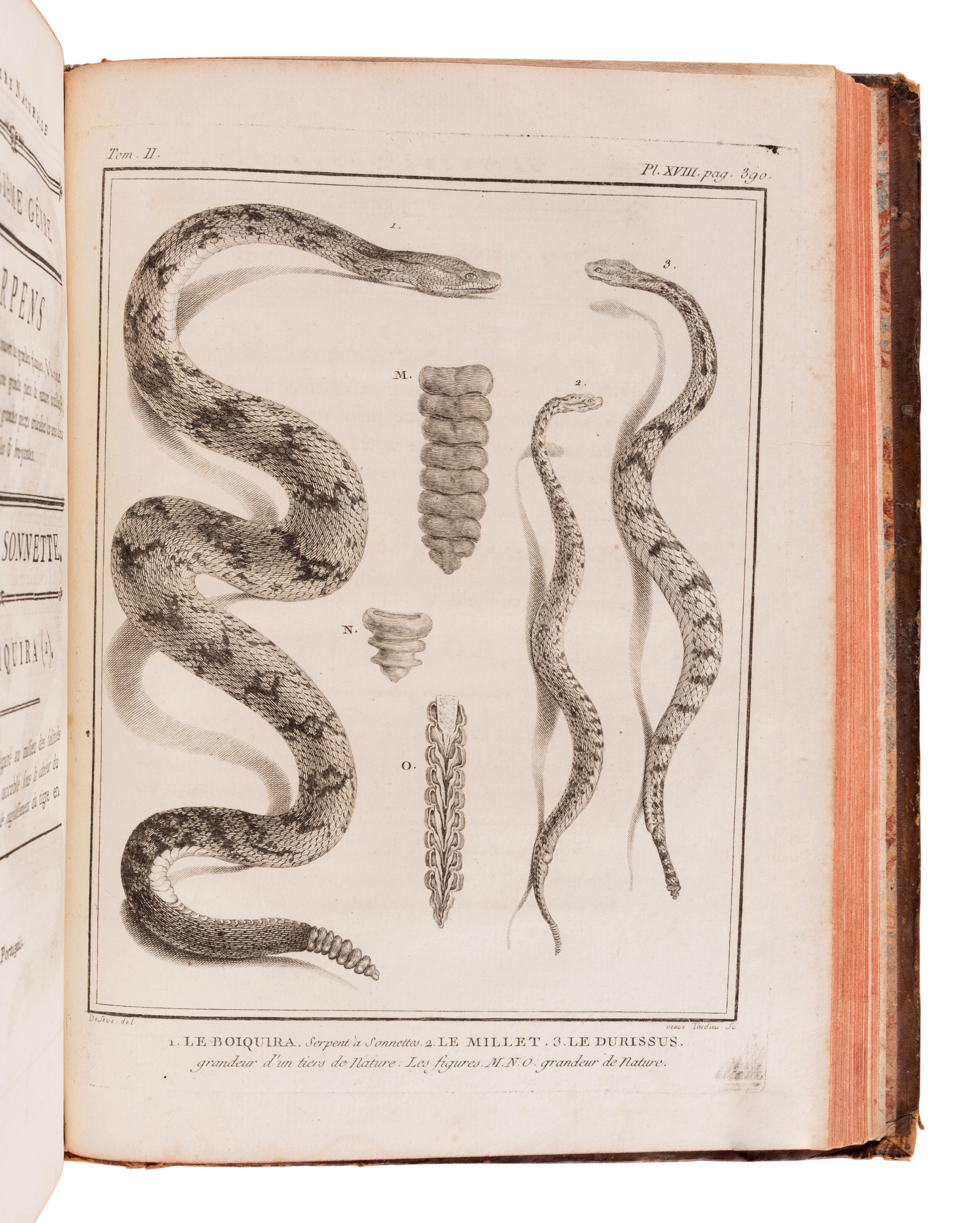LACÉPÈDE, Bernard Germain de (1759-1825). Historie Naturelle des Quadrupedes Ovipares et des Serpens. Paris: Hôtel de Thou, 1788-1789.
