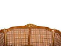 A Pair of Louis XV Style Stained and Giltwood Settees