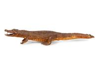A Taxidermy Alligator