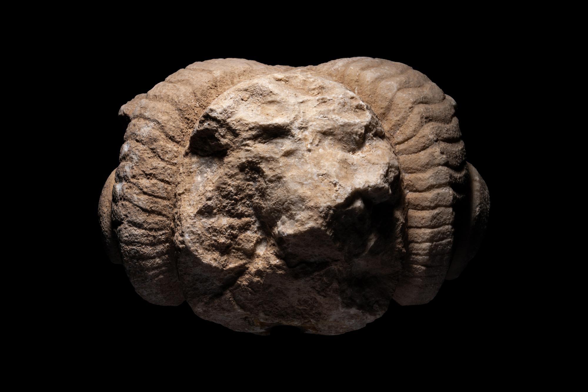 A Roman Marble Head of a Ram