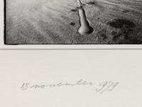 The Great Sand Dunes (with ball)