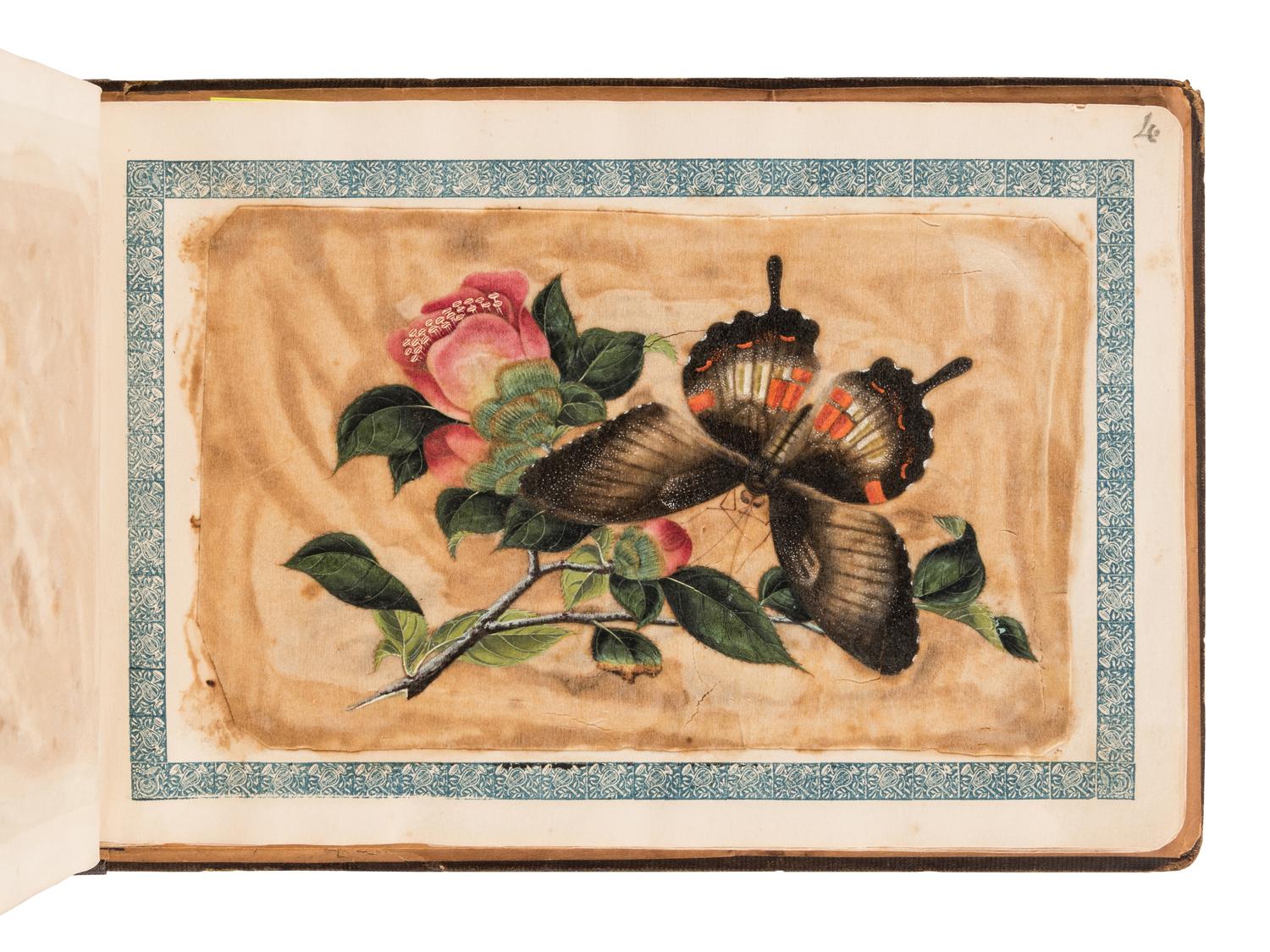 [ALBUM - CHINESE SCHOOL]. Album containing 10 ink and color drawings on pith paper, ca 1860s.