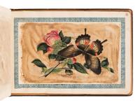 [ALBUM - CHINESE SCHOOL]. Album containing 10 ink and color drawings on pith paper, ca 1860s.