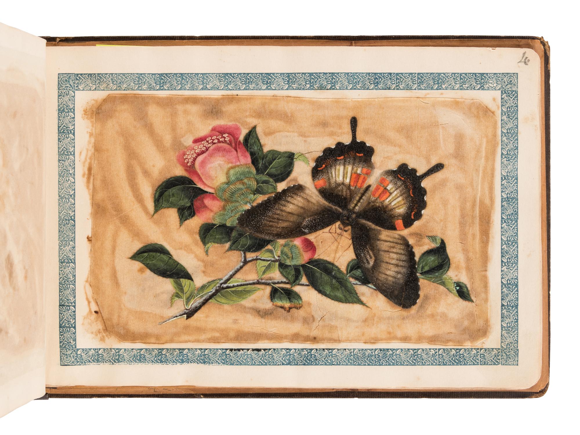 [ALBUM - CHINESE SCHOOL]. Album containing 10 ink and color drawings on pith paper, ca 1860s.