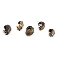 A Group of Five Scottish Horn Snuff Mulls
