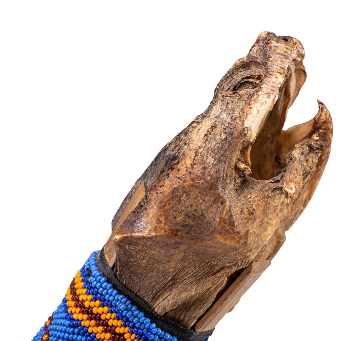 Haudenosaunee Turtle Rattle