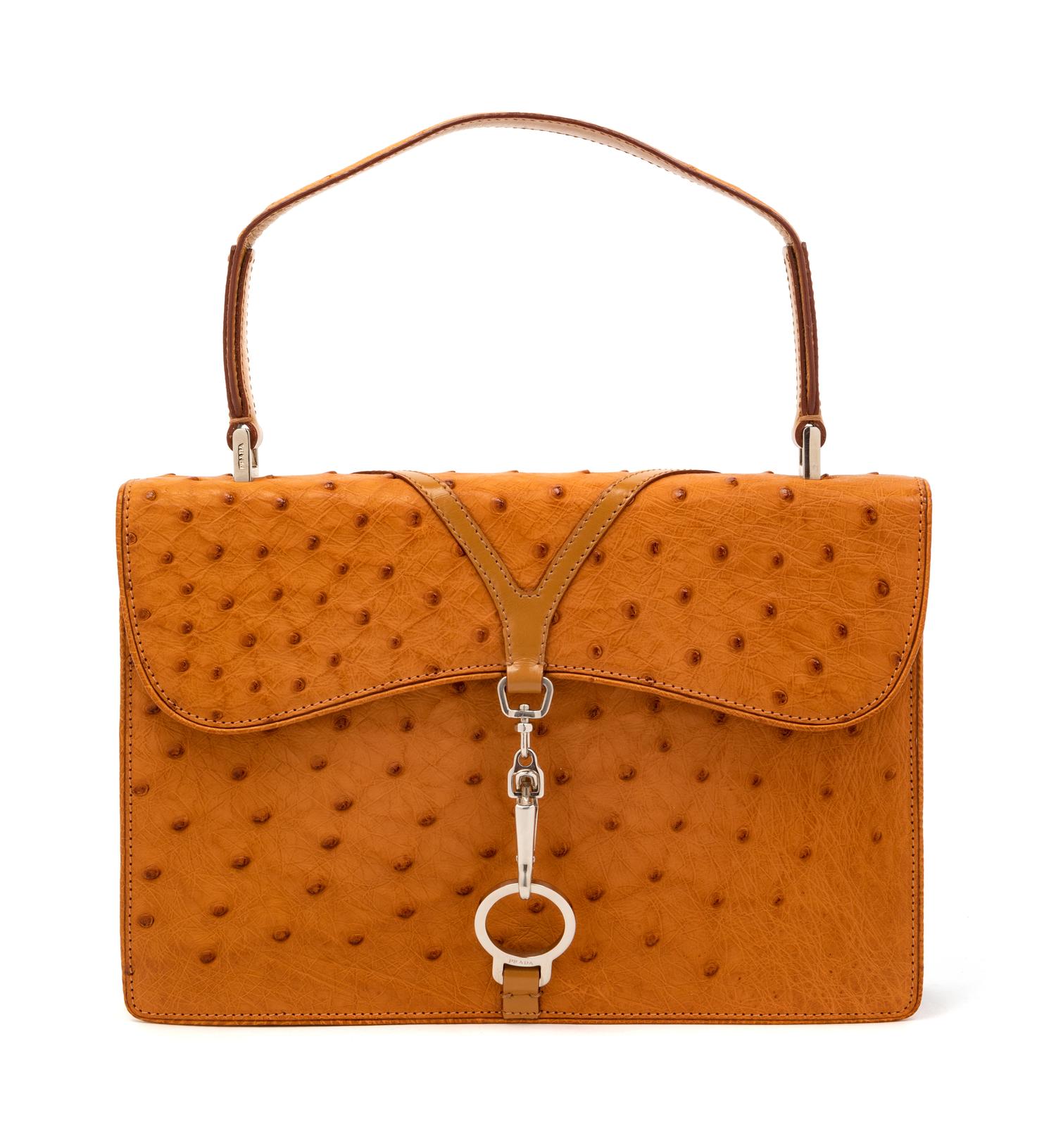 Prada Brown Ostrich Handbag, 1990-2000s