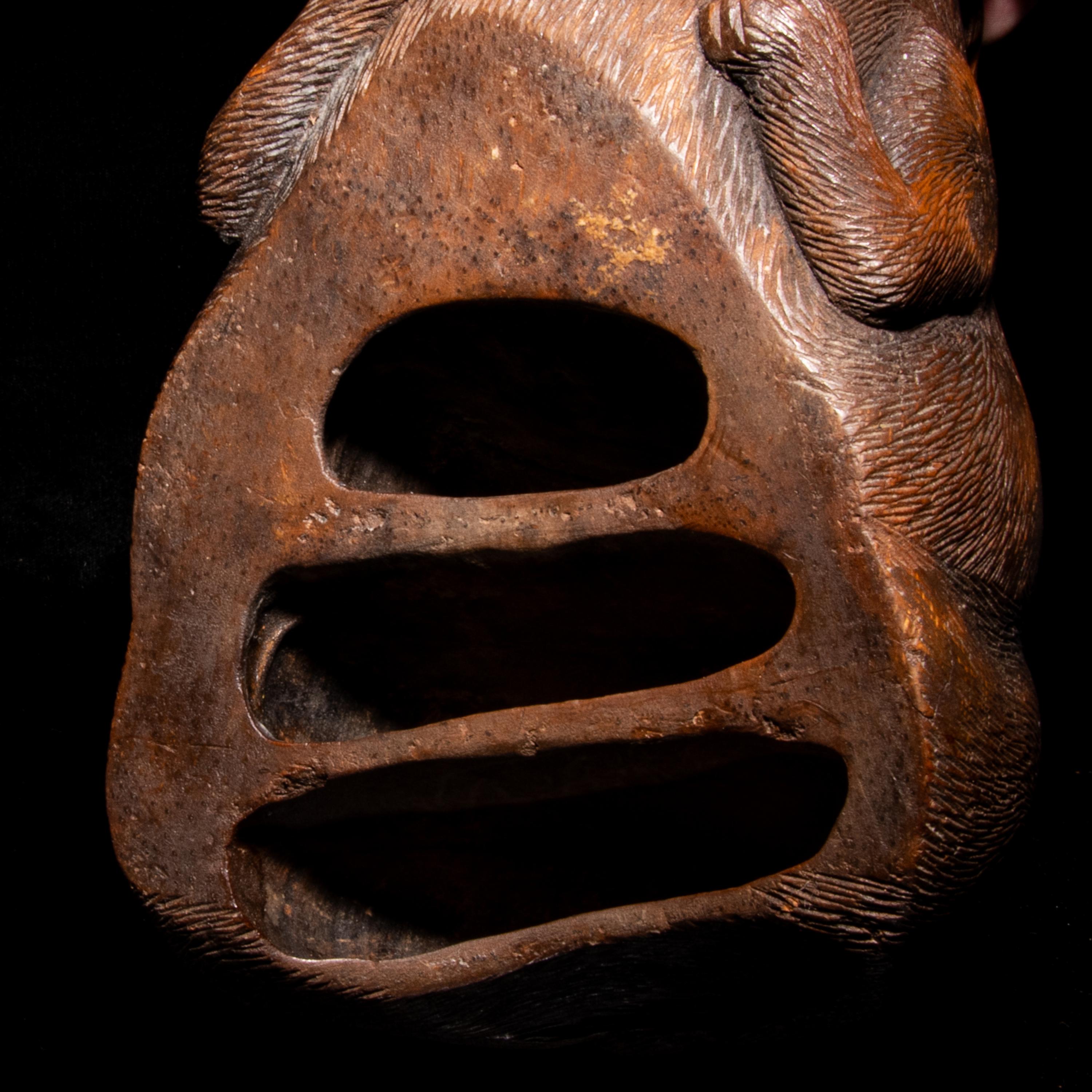 A Charming Chinese Bamboo Root Carving of a Rabbit, 19th Century 清晚期 竹根雕臥兔