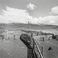 A Group of Three Silver Prints Largest 10 1/4 x 10 1/4 inches.