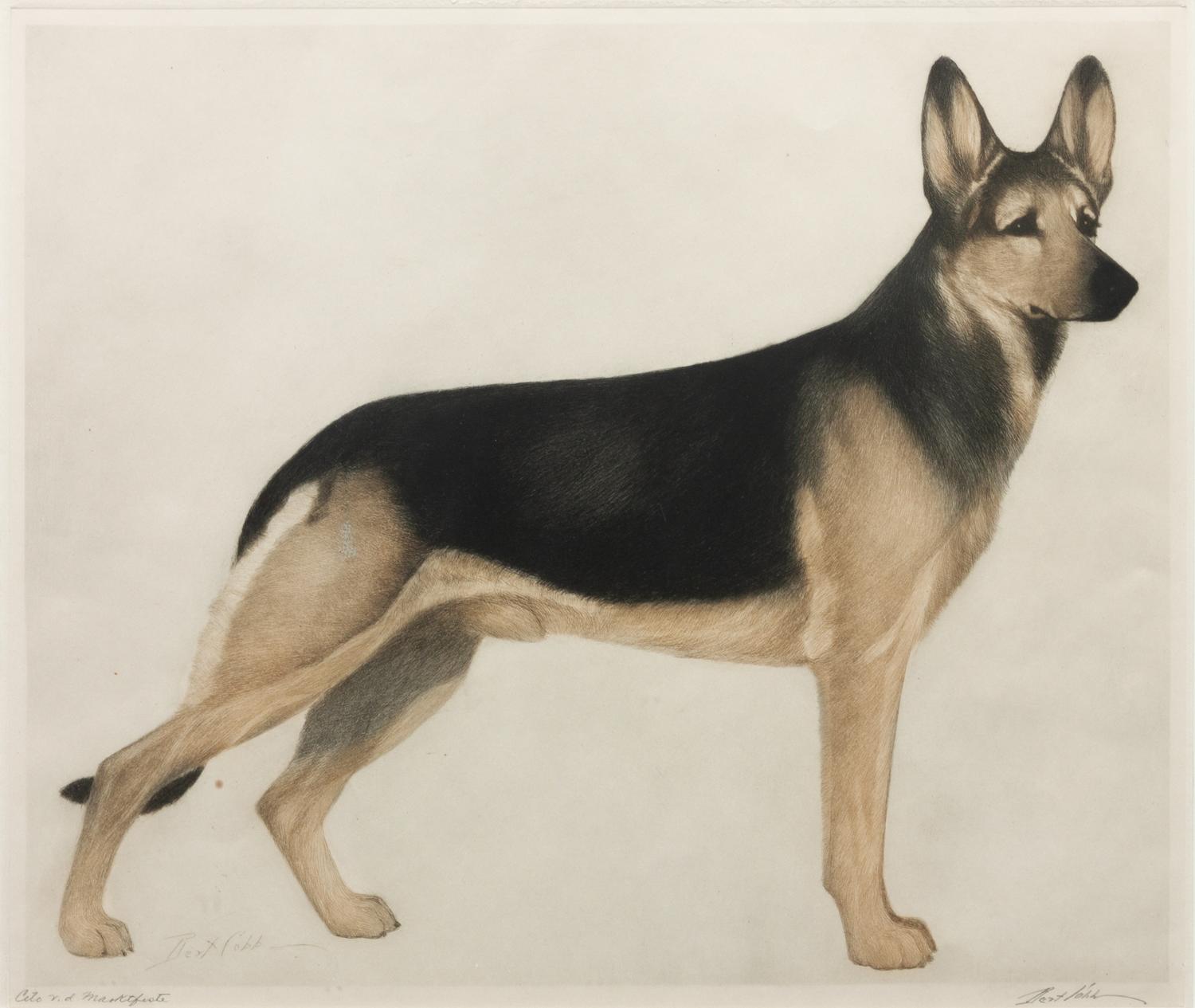 Four Works of Art depicting German Shepherds Largest: 12 1/4 x 14 1/2 inches.