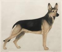 Four Works of Art depicting German Shepherds Largest: 12 1/4 x 14 1/2 inches.