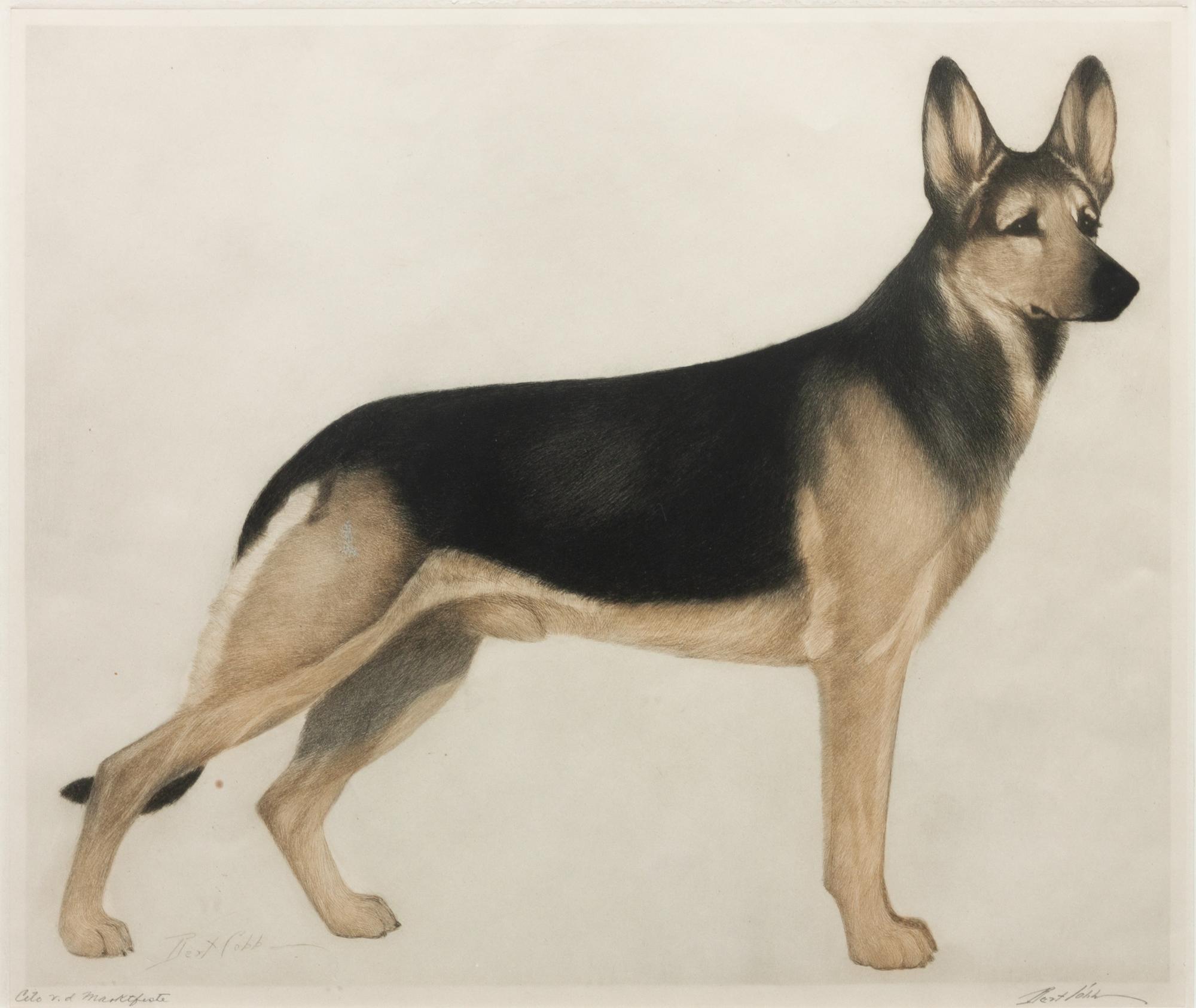 Four Works of Art depicting German Shepherds Largest: 12 1/4 x 14 1/2 inches.