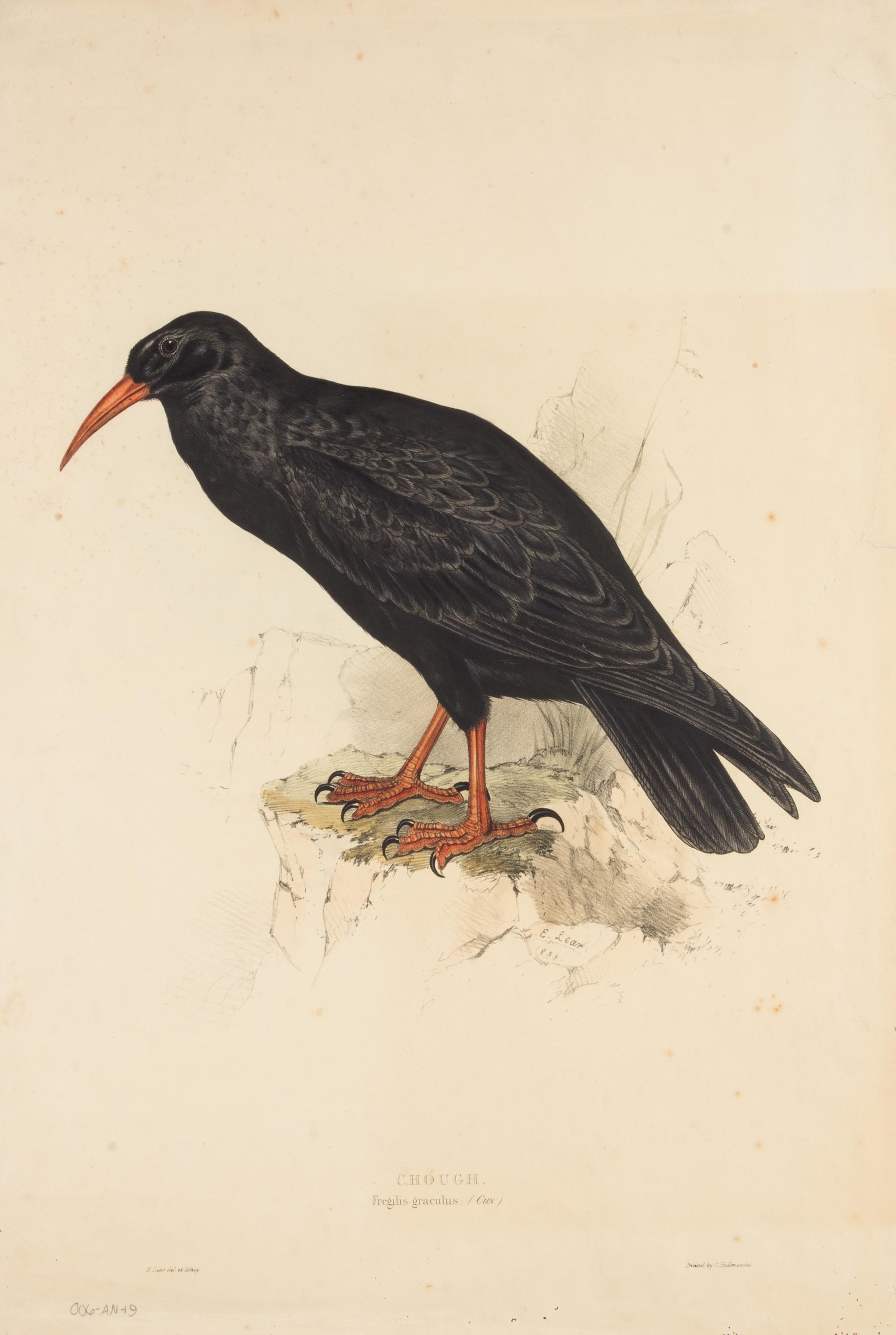 LEAR, Edward (1812-1888)