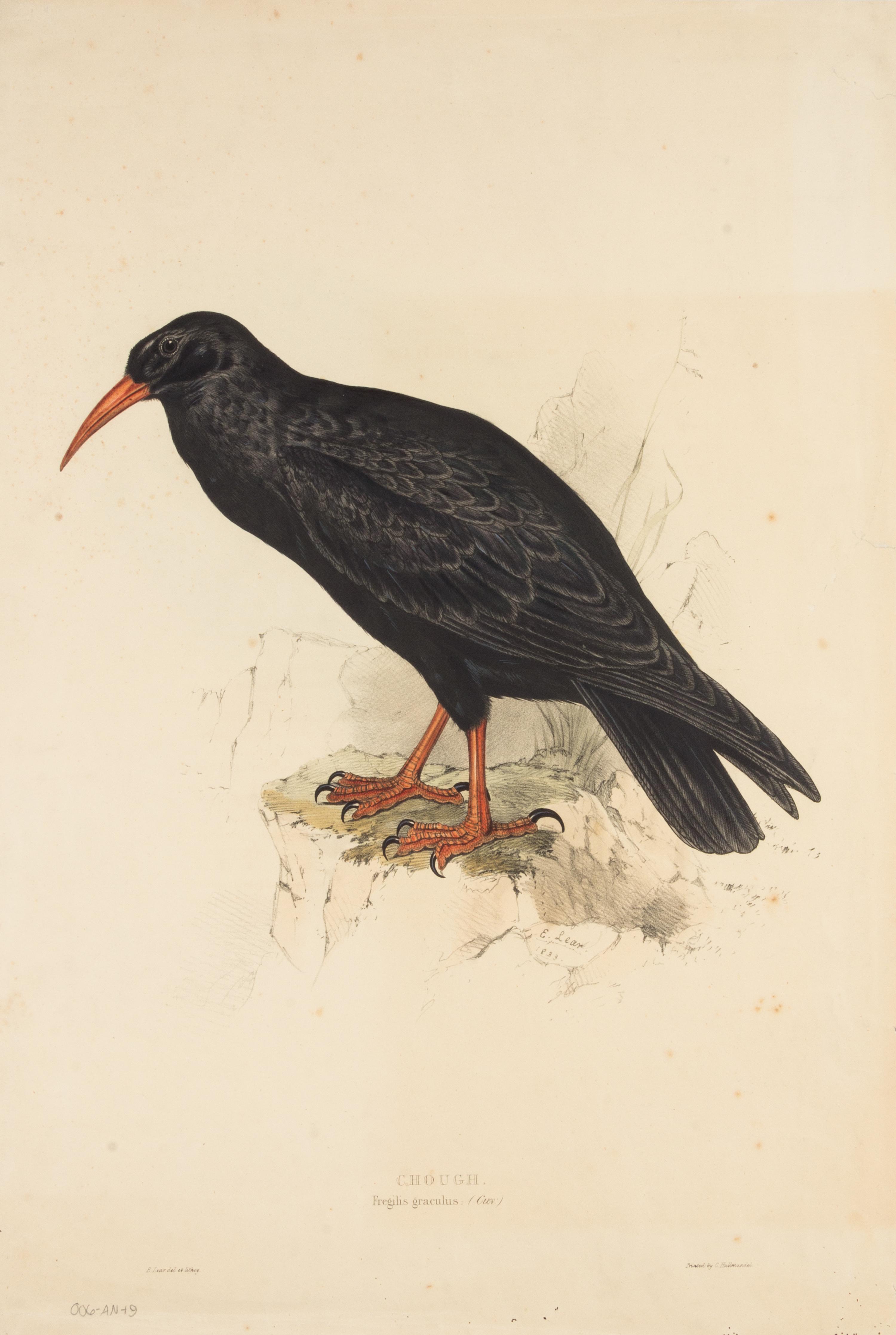 LEAR, Edward (1812-1888)