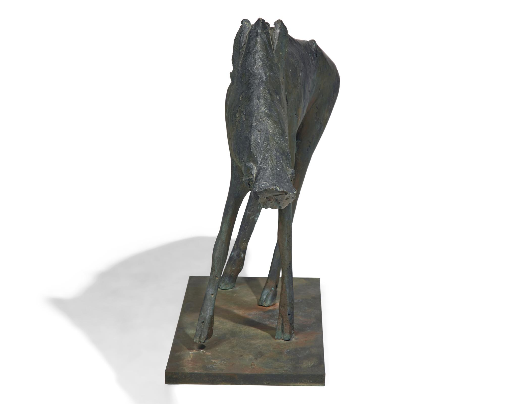Wild Boar, 1957