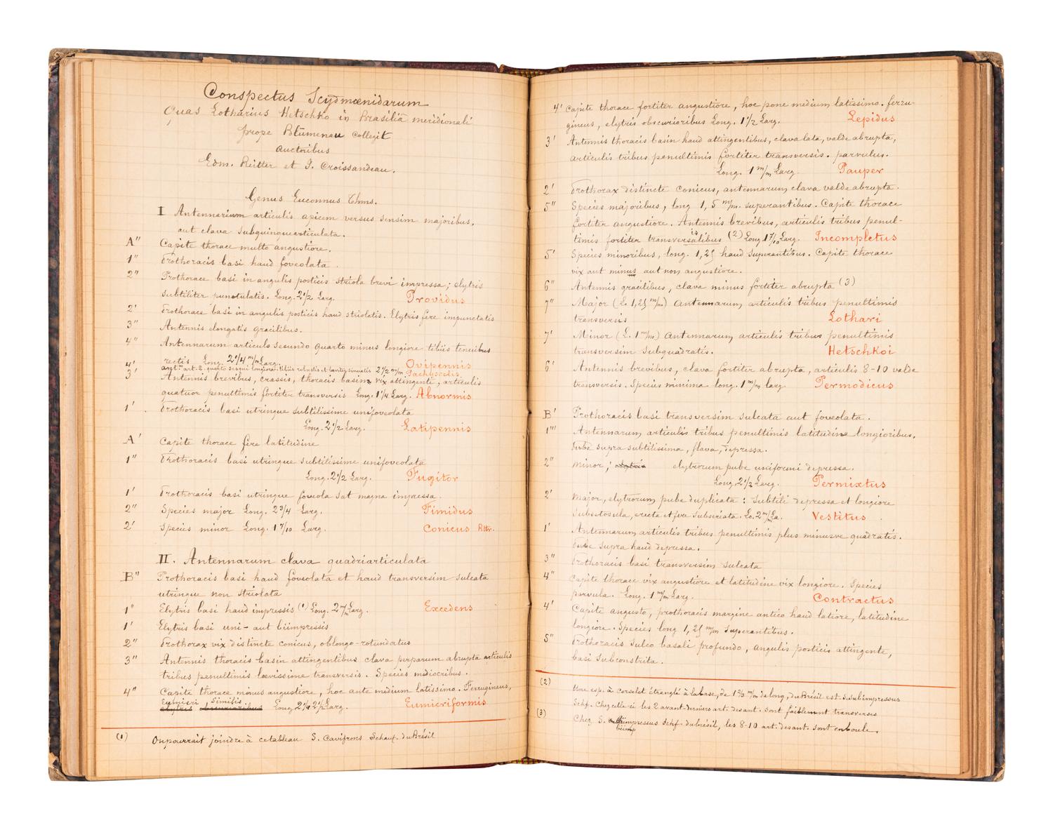 [ENTOMOLOGY & BEETLES]. A group of 47 works, comprising: