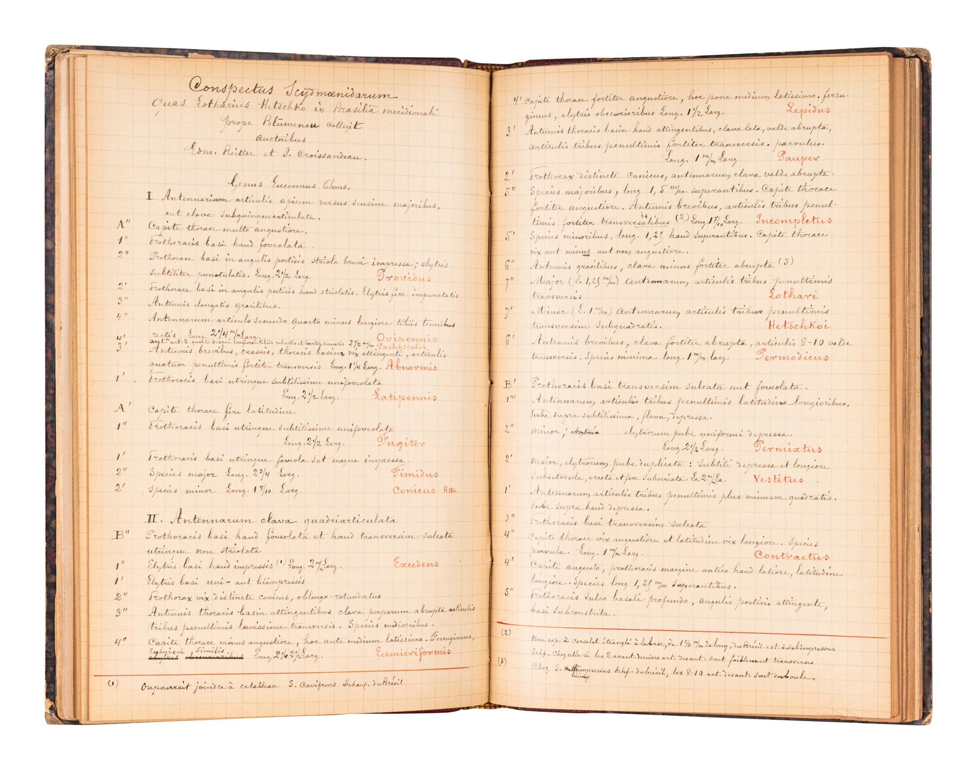 [ENTOMOLOGY & BEETLES]. A group of 47 works, comprising: