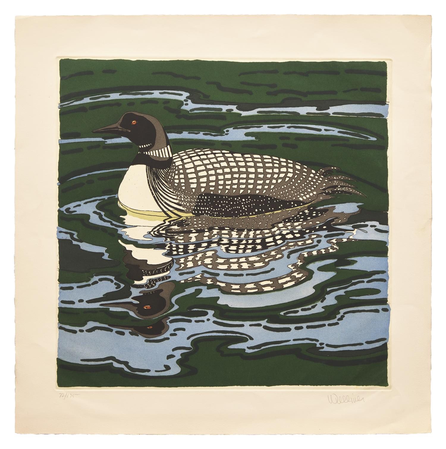 Loon, 1988