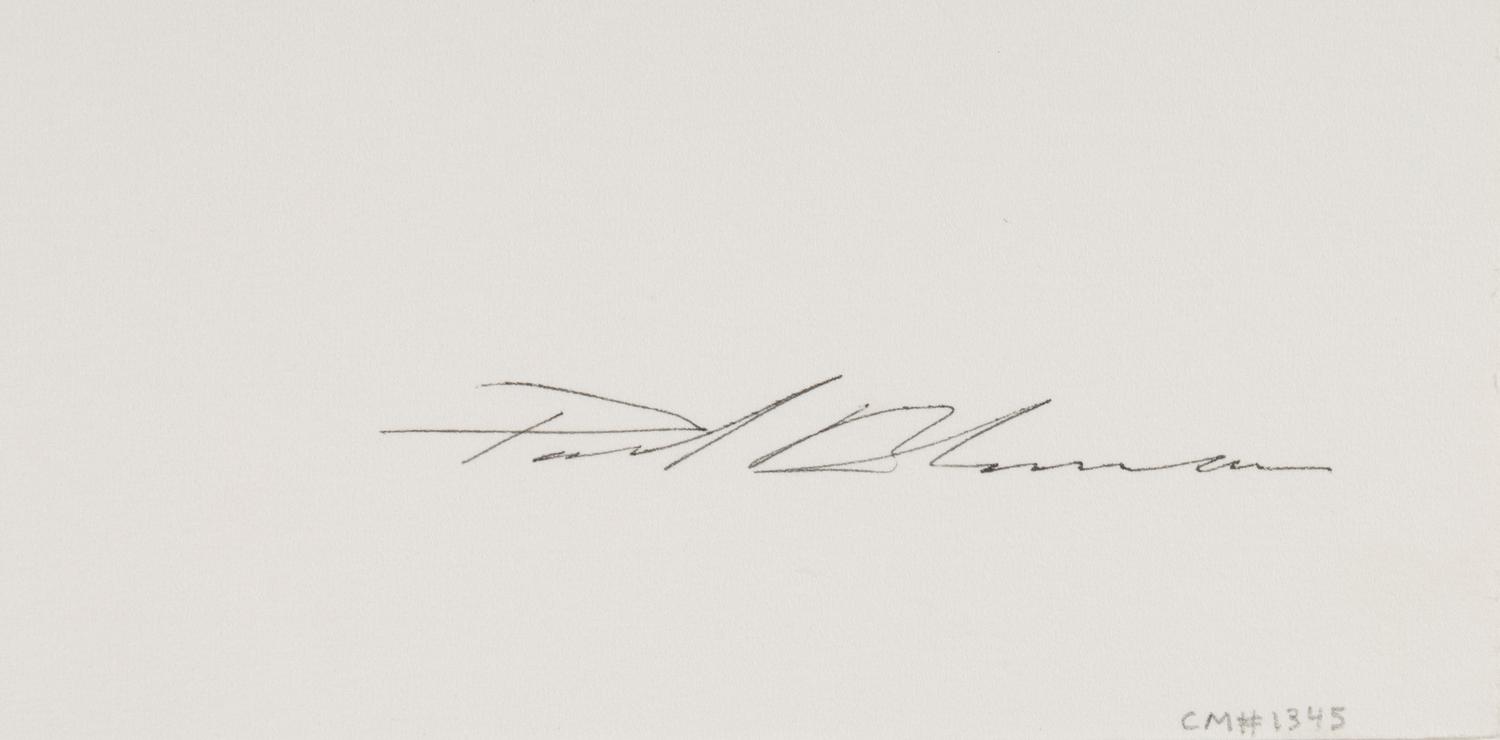Julie Stanzak , 1983, printed 1987