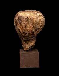An Egyptian Wood Head of a Priest