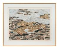 Trout and Reflections