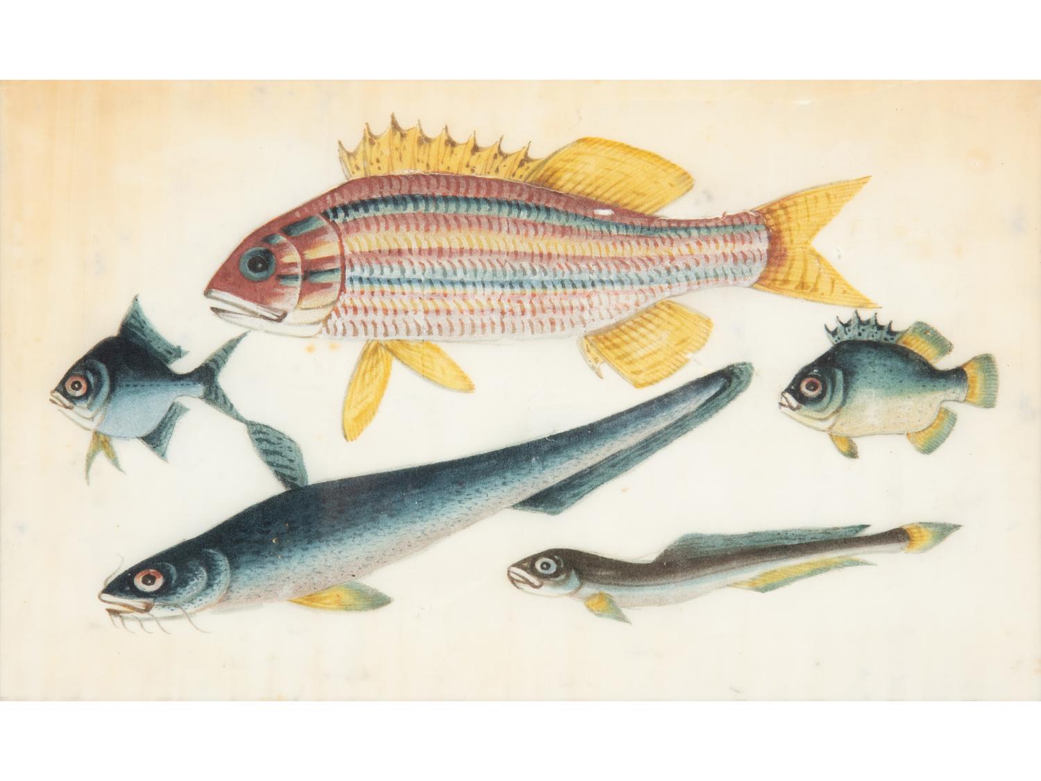 A Set of Seven Chinese Export Pith Paintings