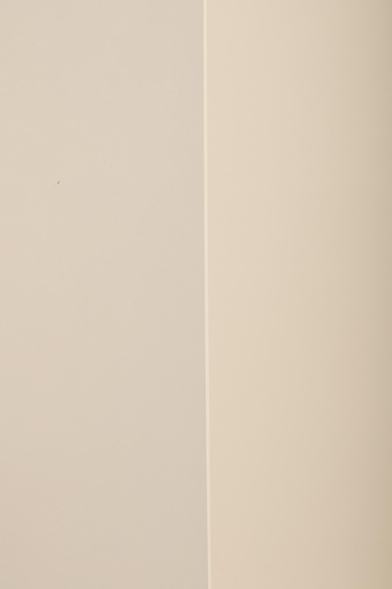 Homage to Barnett Newman , 1979
