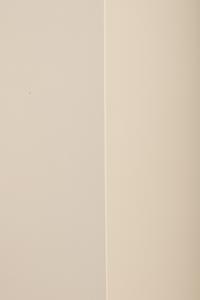 Homage to Barnett Newman , 1979
