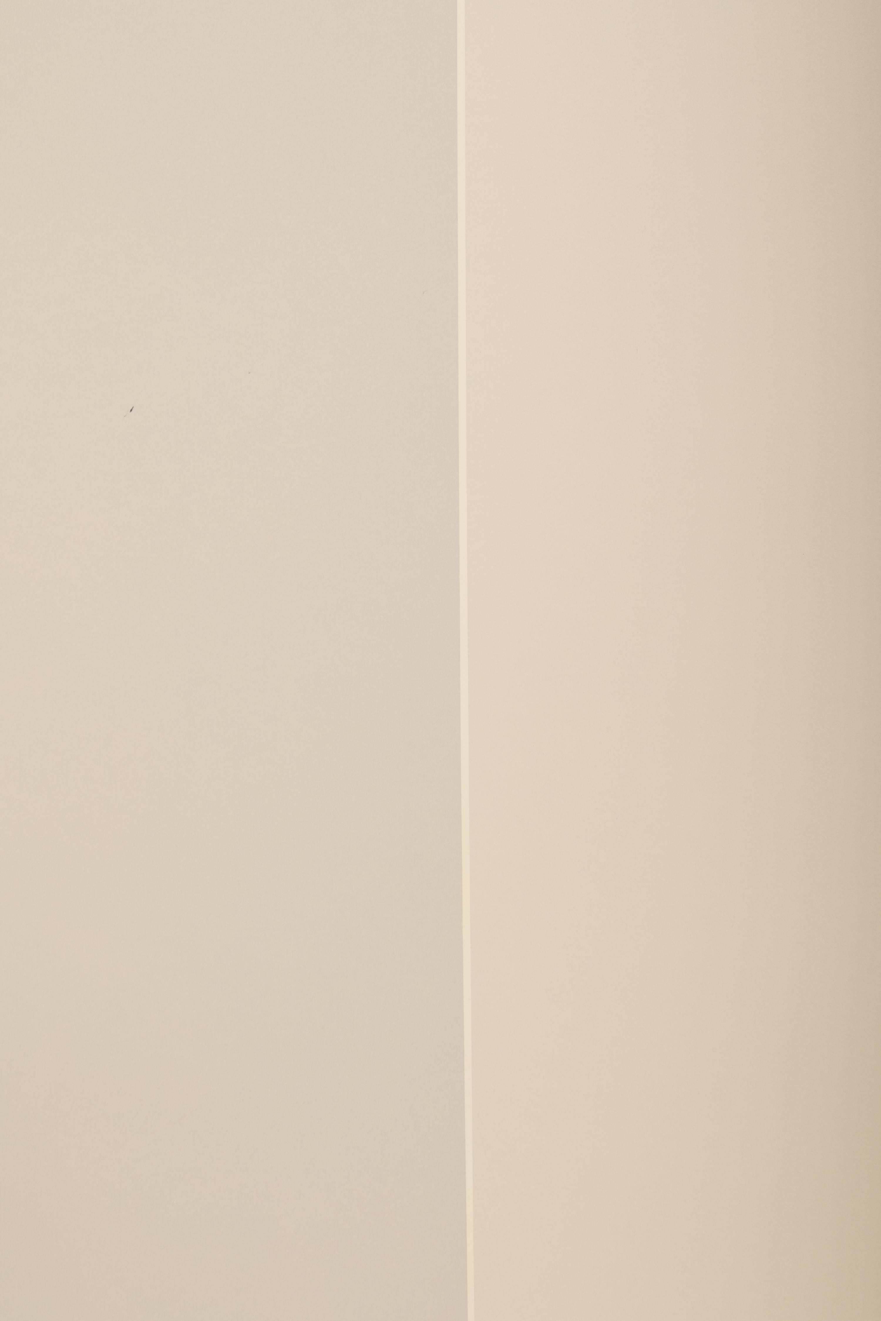 Homage to Barnett Newman , 1979