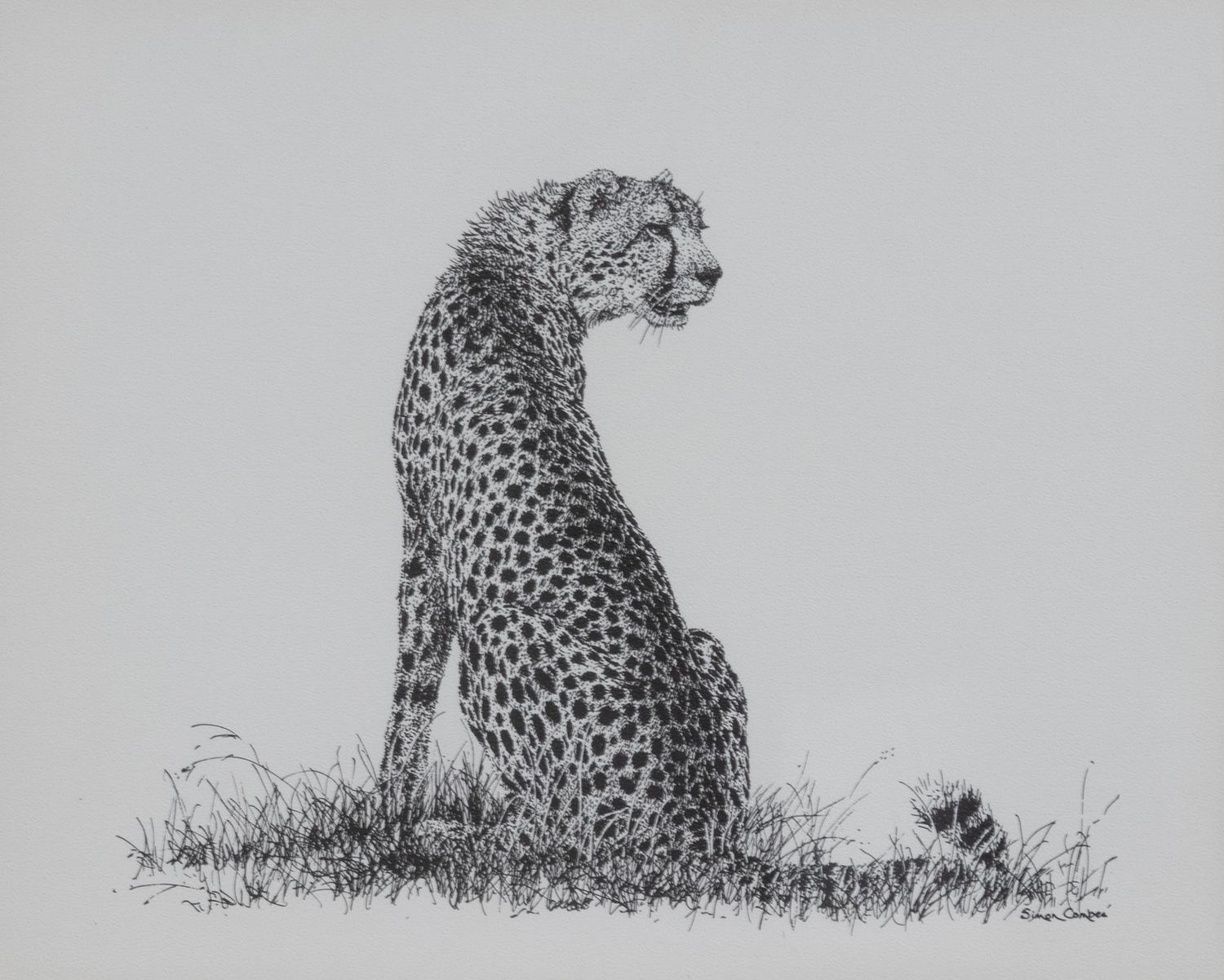 Africa's Big Six