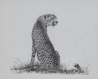 Africa's Big Six
