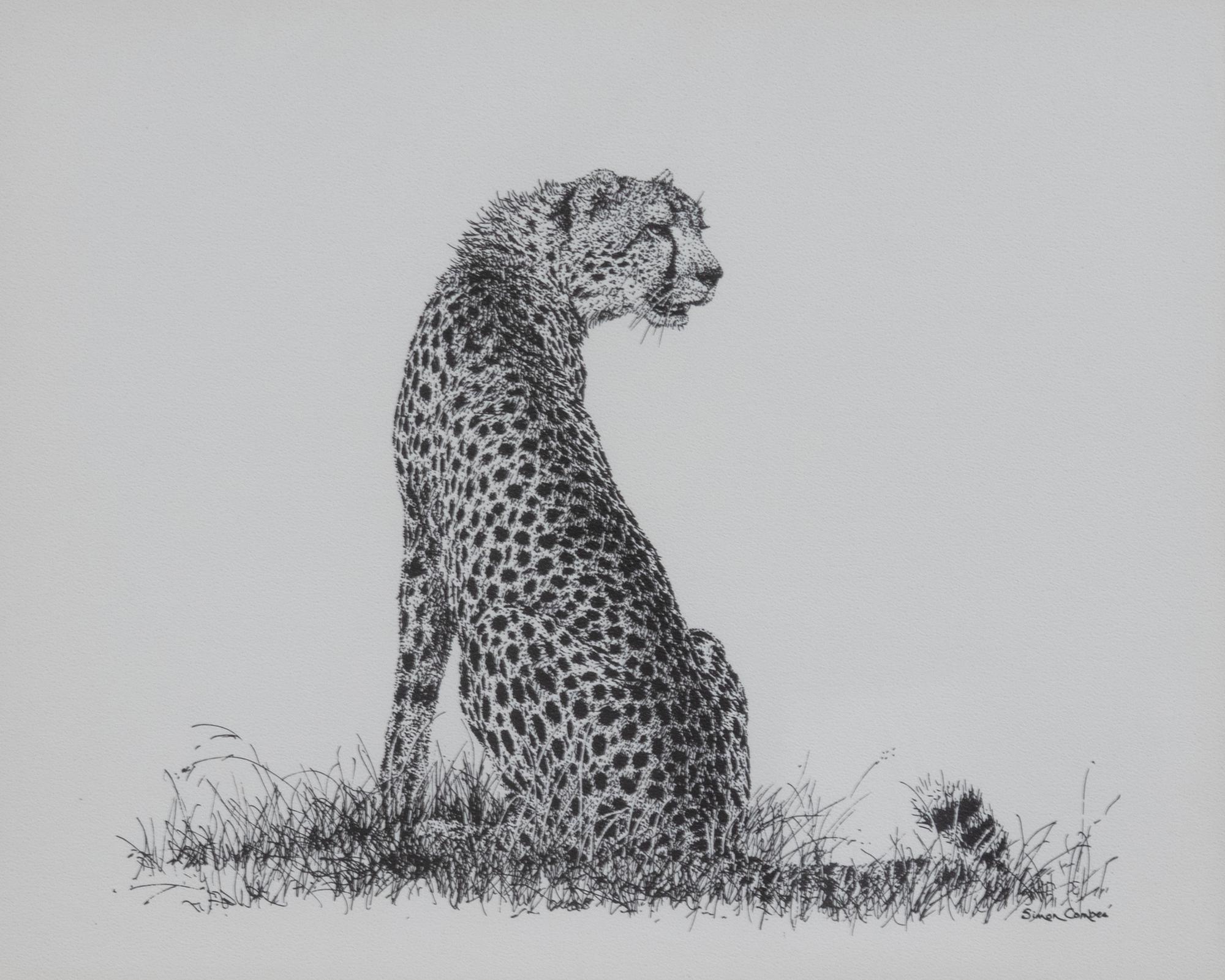 Africa's Big Six