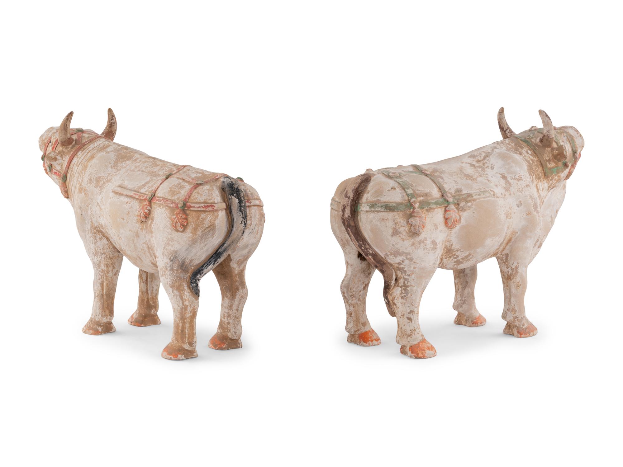 A Pair of Chinese Painted Pottery Figures of Oxen