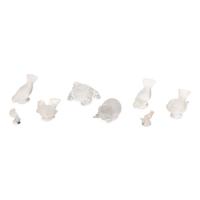 Eight Lalique Glass Animal Figurines