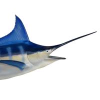 A Blue Marlin Mount 104" W x 12" D x 40" H — Atlantic Ocean, 20th Century