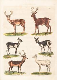 BUFFON, GEORGE LOUIS LECLERC, COMTE DE. A Natural History... London, 1781. 2 (of 8) vols. only.