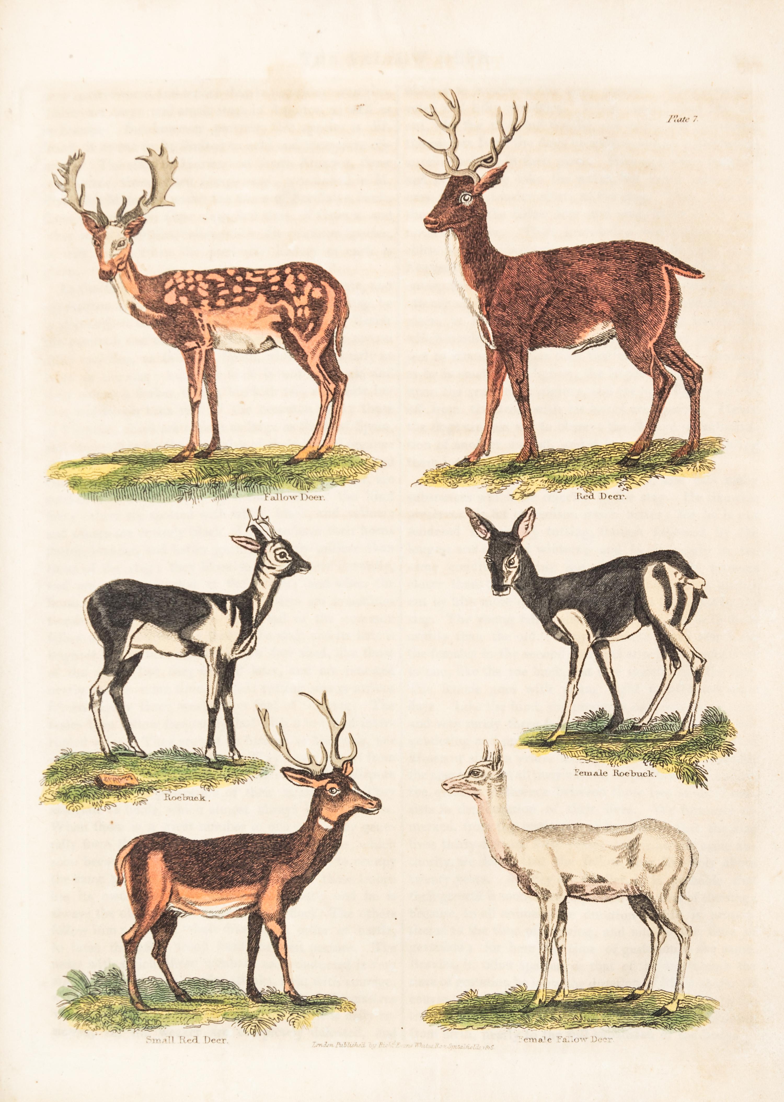 BUFFON, GEORGE LOUIS LECLERC, COMTE DE. A Natural History... London, 1781. 2 (of 8) vols. only.
