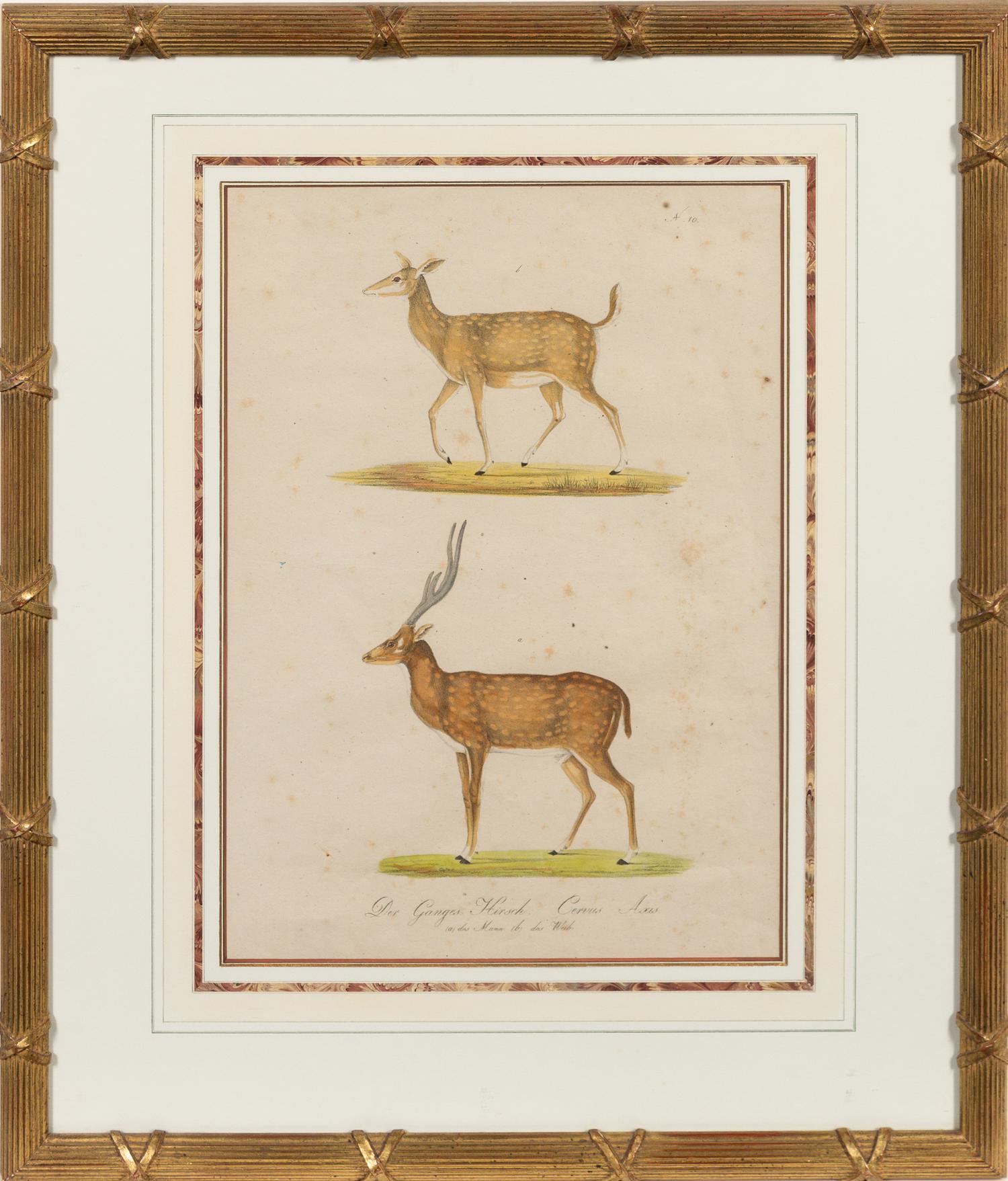 A Set of Eight Animalier Prints 16 3/4 x 13 1/2 inches. — 19TH CENTURY