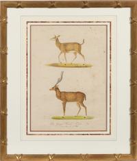 A Set of Eight Animalier Prints 16 3/4 x 13 1/2 inches. — 19TH CENTURY