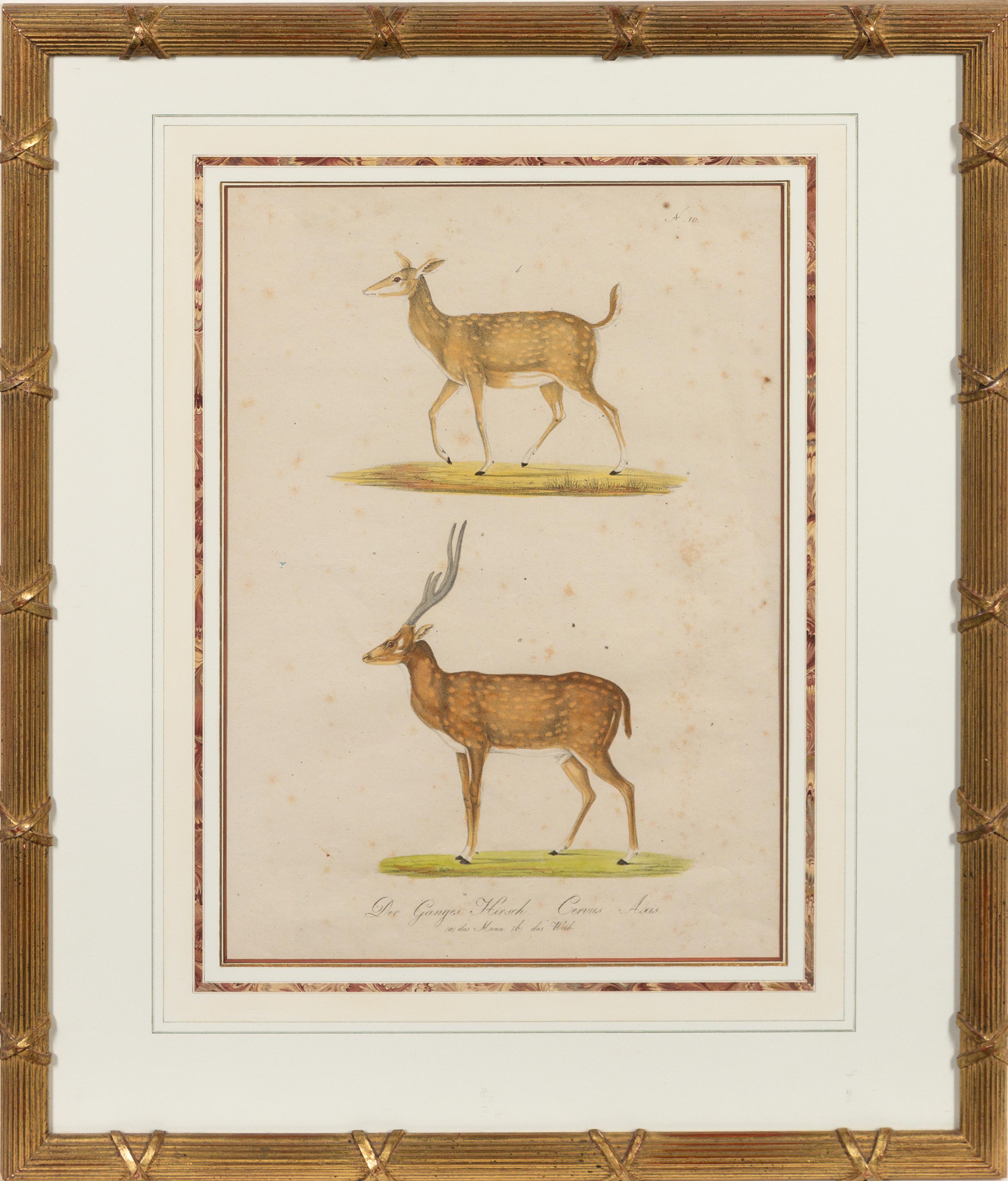 A Set of Eight Animalier Prints 16 3/4 x 13 1/2 inches. — 19TH CENTURY