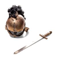 A Roman Centurion Style Costume