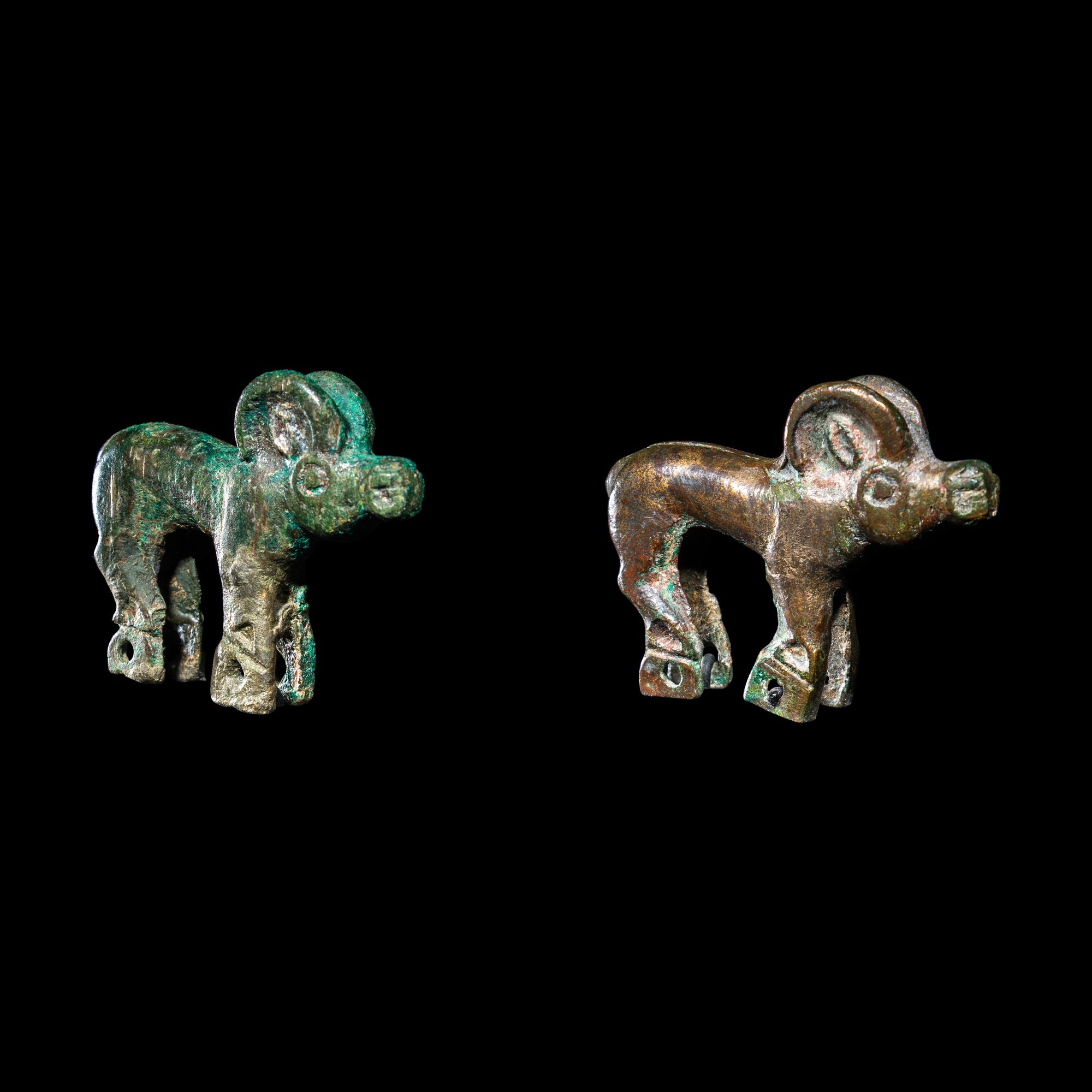 A Pair of Eurasian Bronze Ibexes