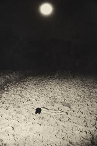Eikoh Hosoe (born 1933) Man and Woman #20,1960; and Kamaitachi #36, 1968 from "Awakenings"