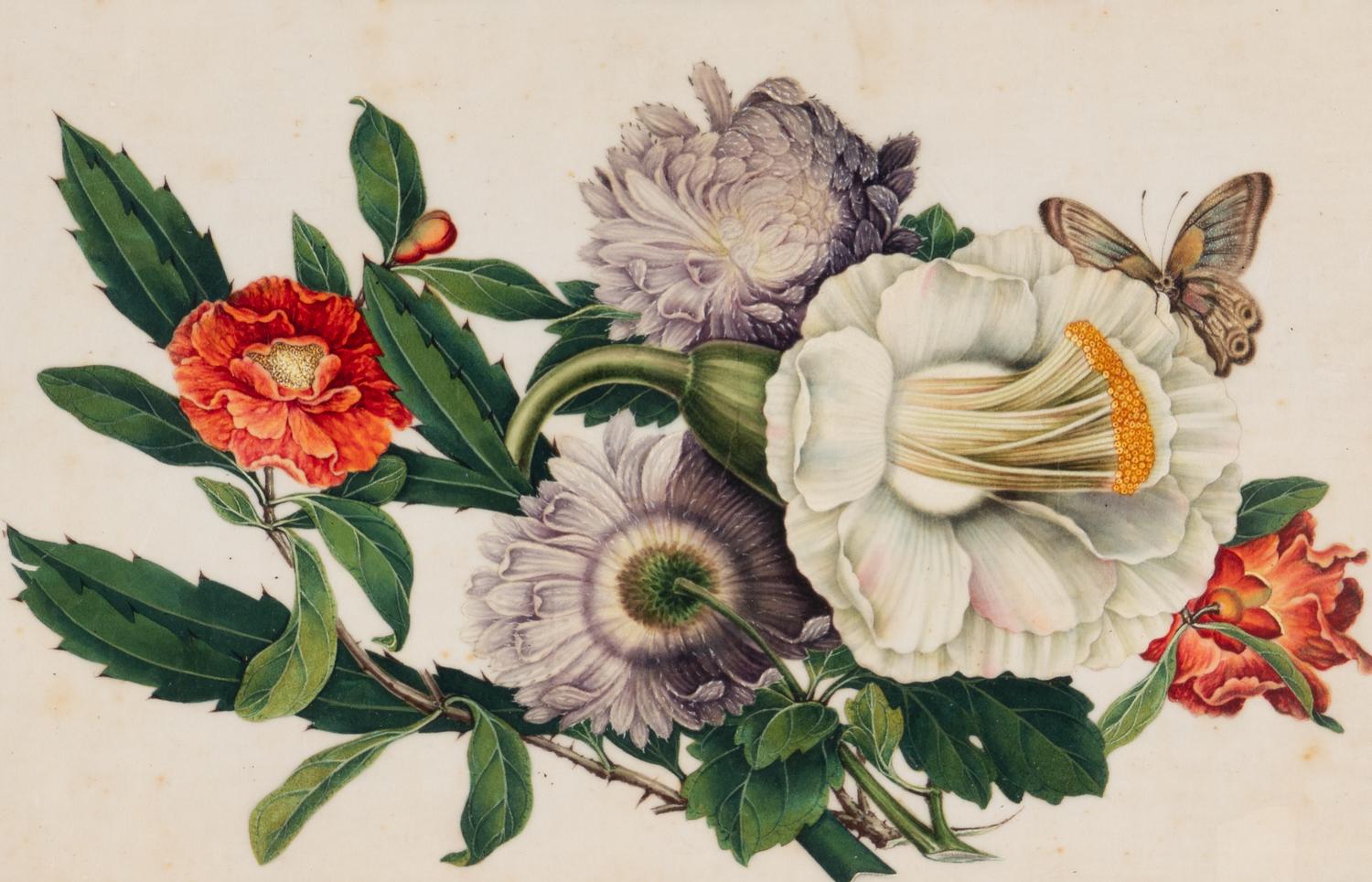 A Set of Twelve Chinese Export Watercolor and Pith Botanical Paintings