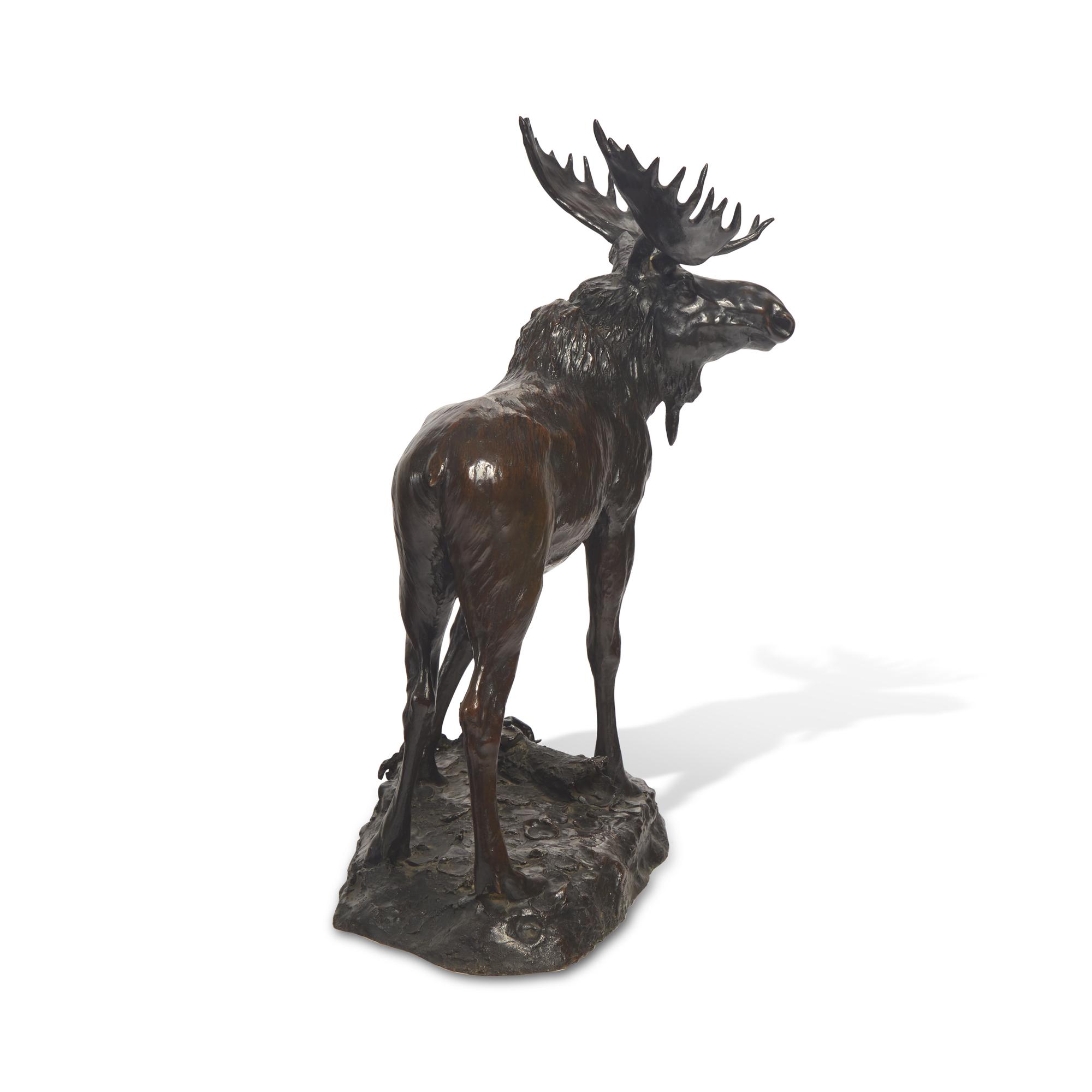 Henry M. Shrady (American, 1871-1922) — Bull Moose , 1900